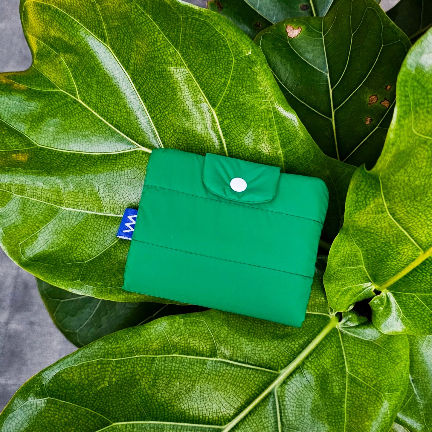 Bubble Wallet  - Green