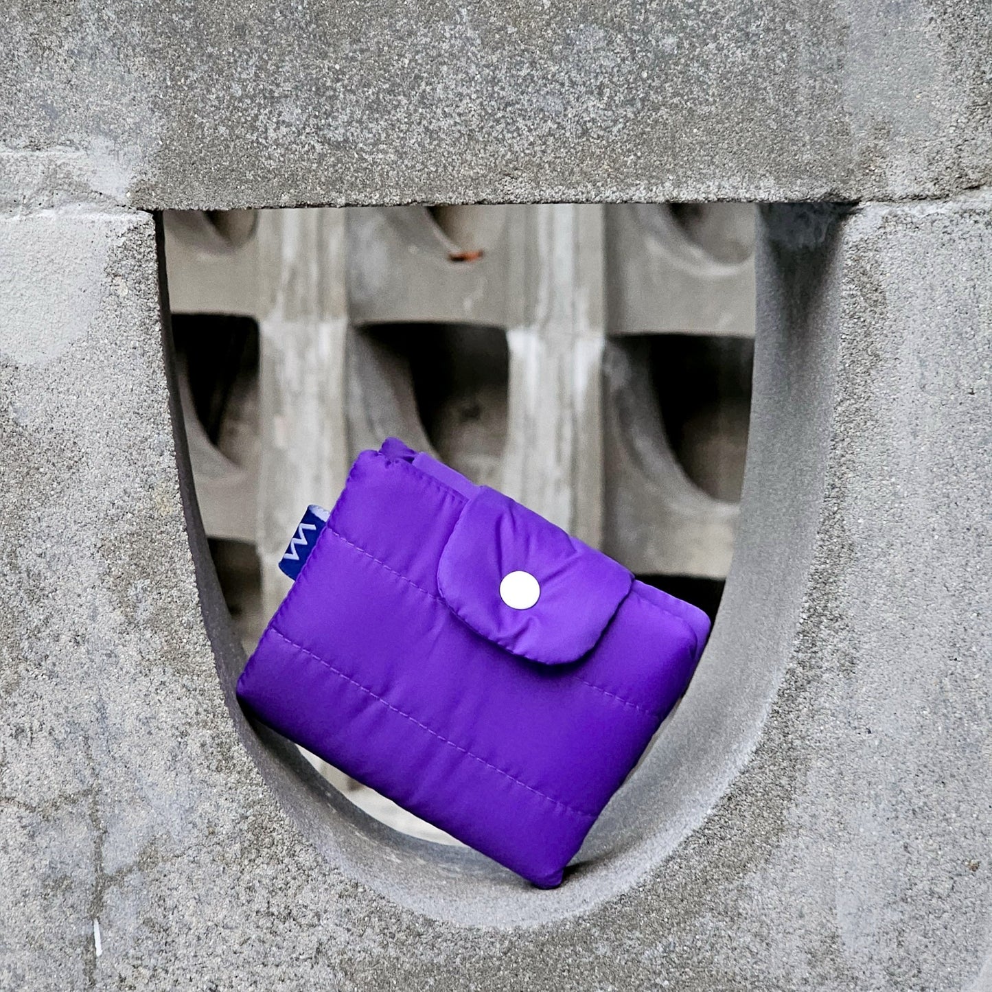 Bubble Wallet  - Purple